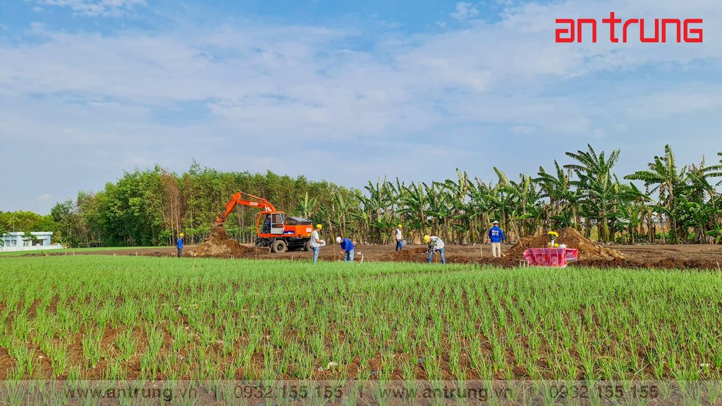 Cty_thiet_ke_thi_cong_uy_tin_Vung_Tau_An_Trung_vn_mr_tien_chau_pha_hinh_thi_cong-9-1024x576